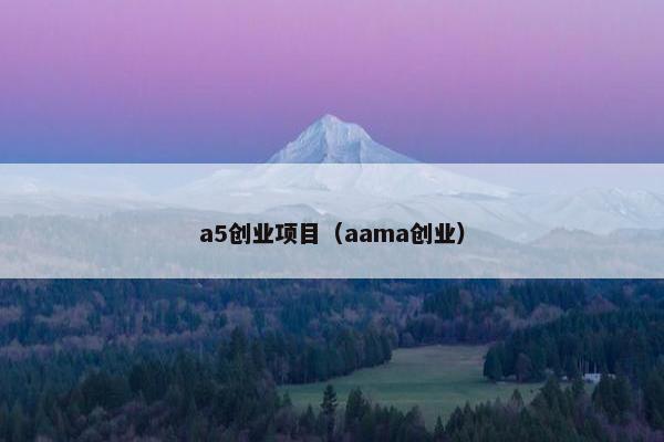 a5创业项目（aama创业）