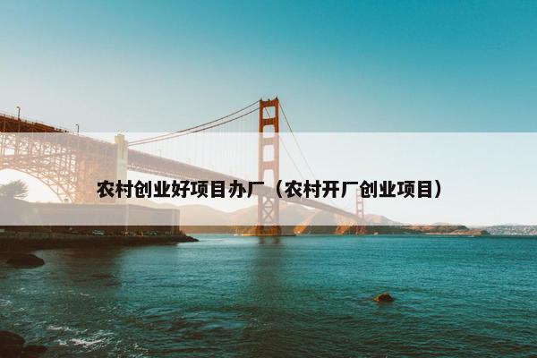 农村创业好项目办厂（农村开厂创业项目）