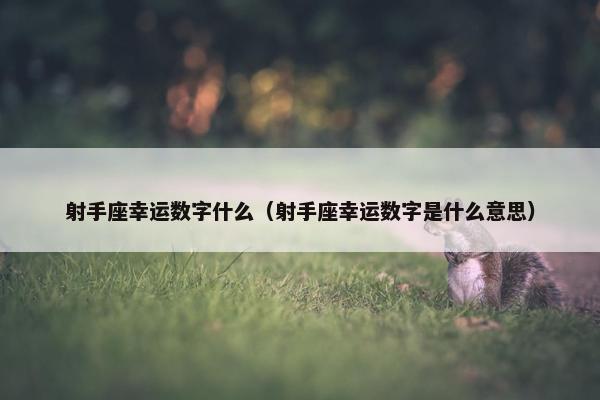 射手座幸运数字什么（射手座幸运数字是什么意思）