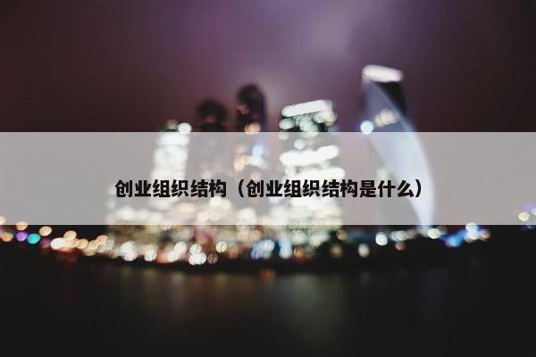 创业组织结构（创业组织结构是什么）