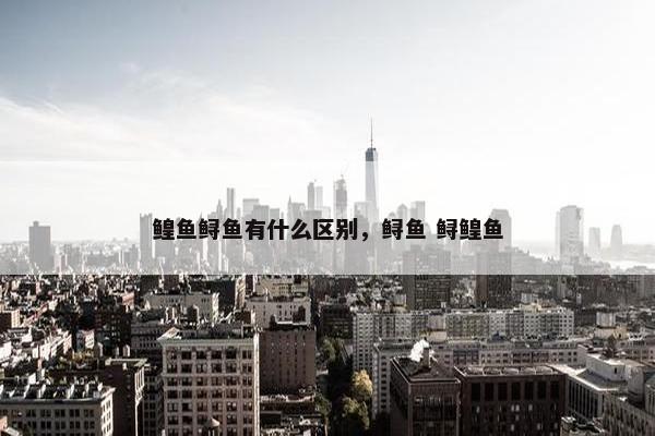鳇鱼鲟鱼有什么区别，鲟鱼 鲟鳇鱼