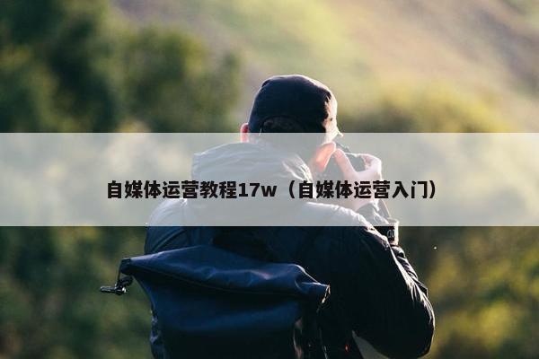 自媒体运营教程17w（自媒体运营入门）
