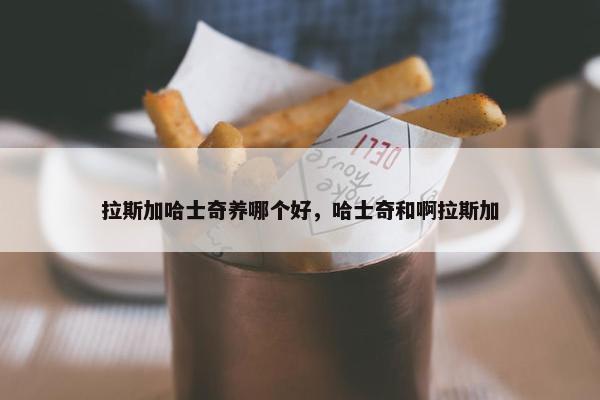拉斯加哈士奇养哪个好，哈士奇和啊拉斯加