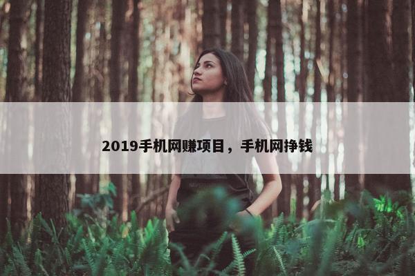 2019手机网赚项目，手机网挣钱