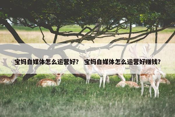 宝妈自媒体怎么运营好？ 宝妈自媒体怎么运营好赚钱？