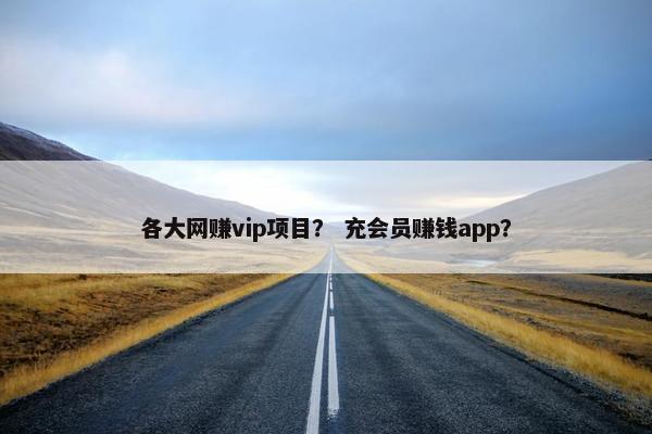 各大网赚vip项目？ 充会员赚钱app？