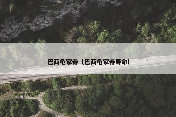 巴西龟家养（巴西龟家养寿命）