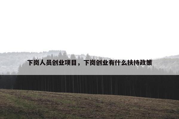 下岗人员创业项目，下岗创业有什么扶持政策