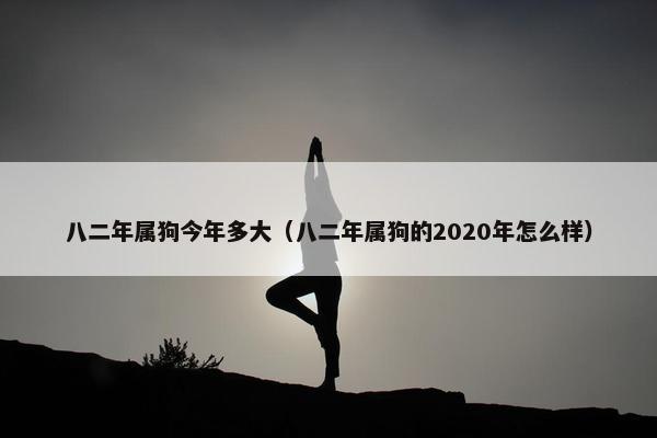 八二年属狗今年多大（八二年属狗的2020年怎么样）