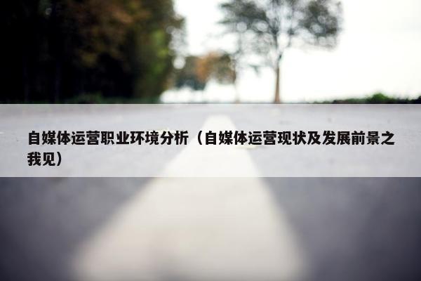 自媒体运营职业环境分析（自媒体运营现状及发展前景之我见）