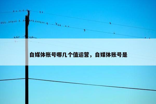 自媒体账号哪几个值运营，自媒体账号是