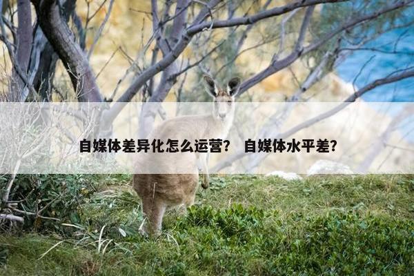自媒体差异化怎么运营？ 自媒体水平差？