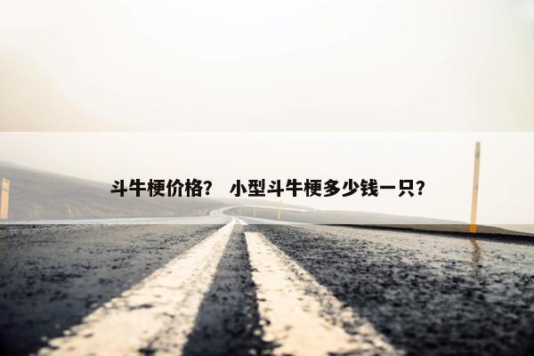 斗牛梗价格？ 小型斗牛梗多少钱一只？