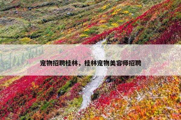 宠物招聘桂林，桂林宠物美容师招聘