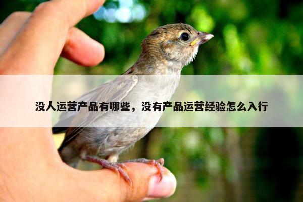 没人运营产品有哪些，没有产品运营经验怎么入行