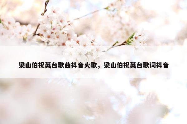 梁山伯祝英台歌曲抖音火歌，梁山伯祝英台歌词抖音