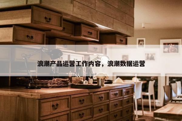 浪潮产品运营工作内容，浪潮数据运营