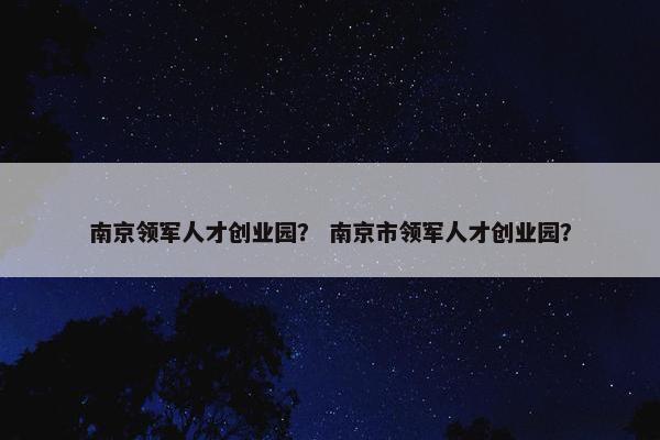 南京领军人才创业园？ 南京市领军人才创业园？