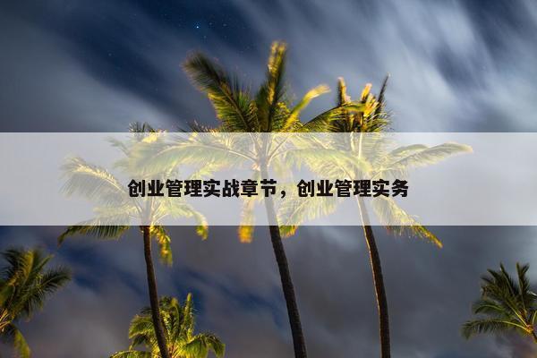 创业管理实战章节，创业管理实务