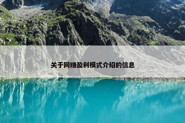 关于网赚盈利模式介绍的信息