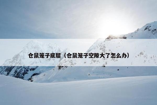 仓鼠笼子底层（仓鼠笼子空隙大了怎么办）