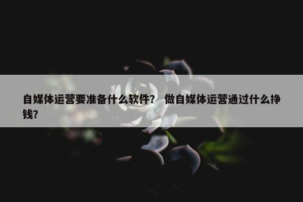 自媒体运营要准备什么软件？ 做自媒体运营通过什么挣钱？