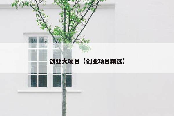 创业大项目（创业项目精选）