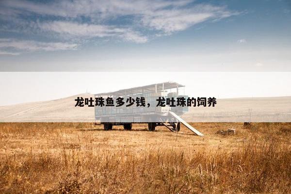 龙吐珠鱼多少钱，龙吐珠的饲养