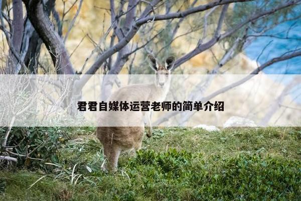 君君自媒体运营老师的简单介绍