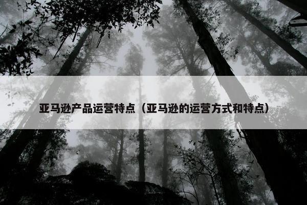 亚马逊产品运营特点（亚马逊的运营方式和特点）