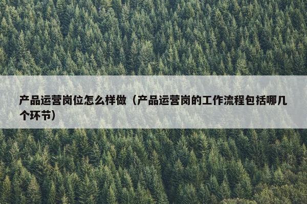 产品运营岗位怎么样做（产品运营岗的工作流程包括哪几个环节）