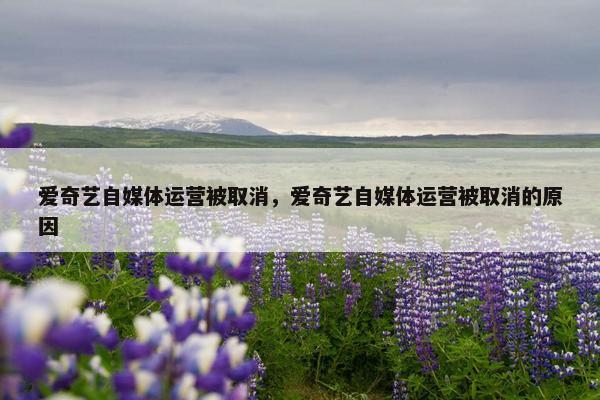 爱奇艺自媒体运营被取消，爱奇艺自媒体运营被取消的原因