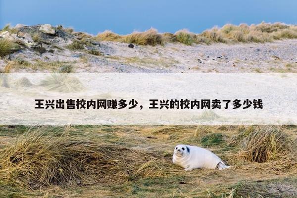 王兴出售校内网赚多少，王兴的校内网卖了多少钱
