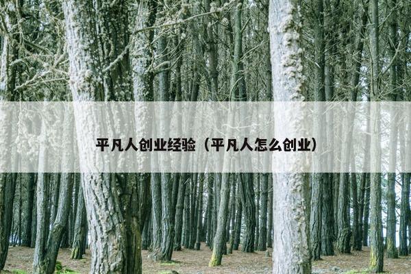 平凡人创业经验（平凡人怎么创业）