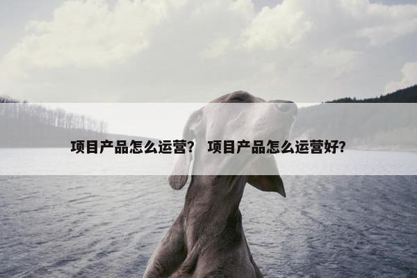 项目产品怎么运营？ 项目产品怎么运营好？