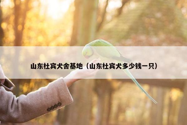 山东杜宾犬舍基地（山东杜宾犬多少钱一只）