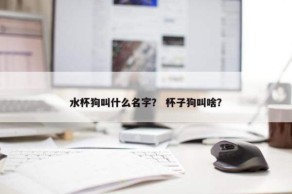 水杯狗叫什么名字？ 杯子狗叫啥？