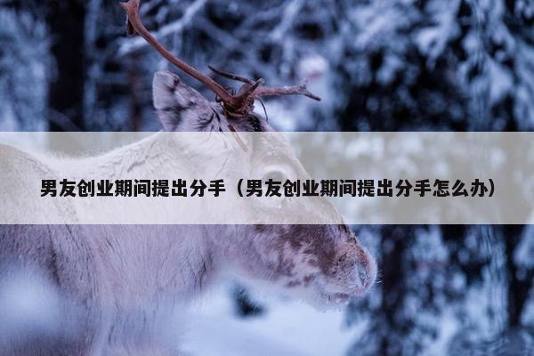 男友创业期间提出分手（男友创业期间提出分手怎么办）