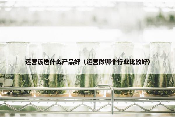 运营该选什么产品好（运营做哪个行业比较好）