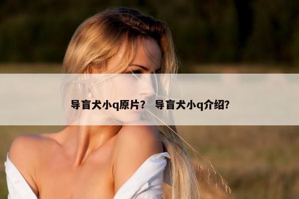 导盲犬小q原片？ 导盲犬小q介绍？