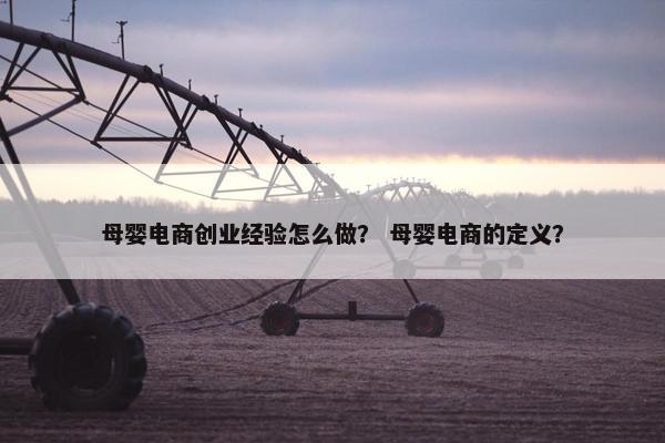 母婴电商创业经验怎么做？ 母婴电商的定义？