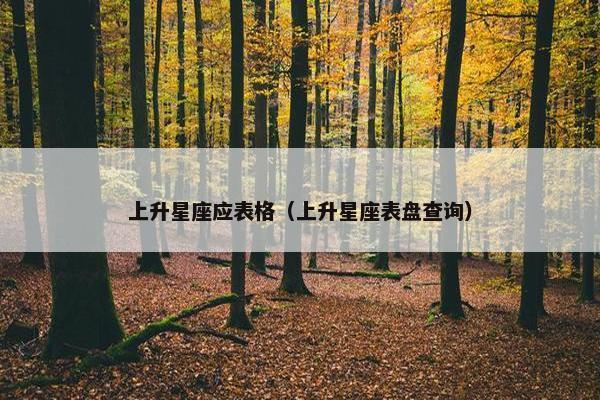 上升星座应表格（上升星座表盘查询）