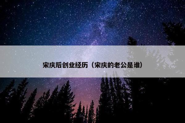宋庆后创业经历（宋庆的老公是谁）
