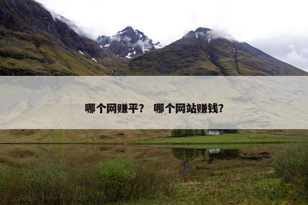哪个网赚平？ 哪个网站赚钱？