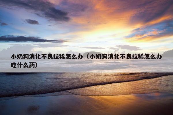 小奶狗消化不良拉稀怎么办（小奶狗消化不良拉稀怎么办吃什么药）