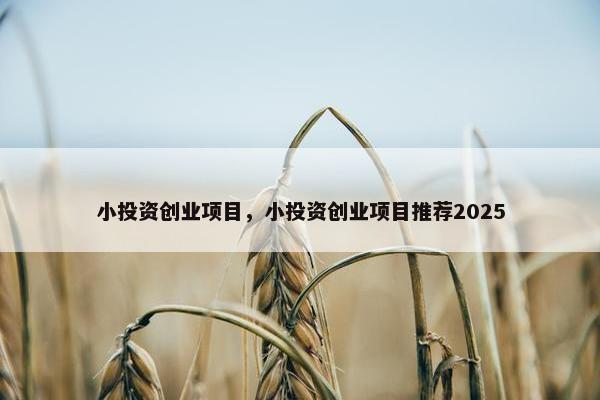 小投资创业项目，小投资创业项目推荐2025