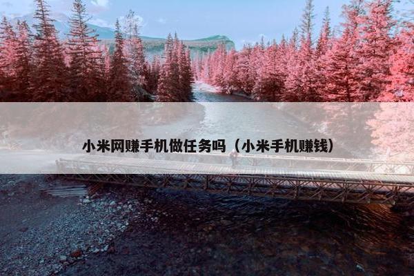 小米网赚手机做任务吗（小米手机赚钱）