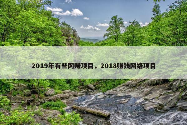 2019年有些网赚项目，2018赚钱网络项目
