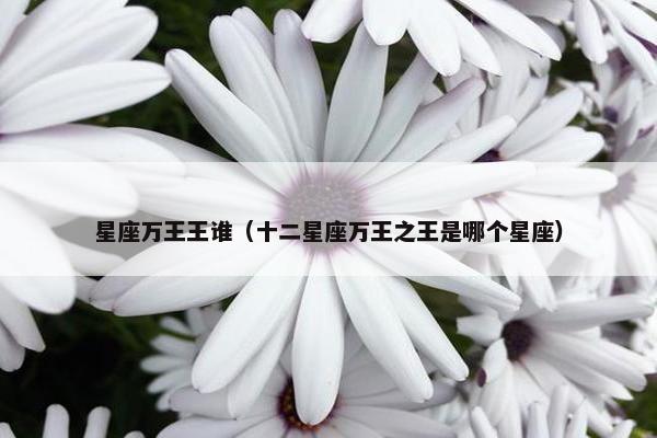 星座万王王谁（十二星座万王之王是哪个星座）