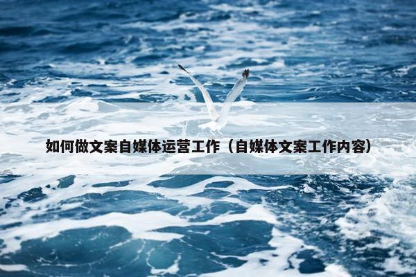 如何做文案自媒体运营工作（自媒体文案工作内容）
